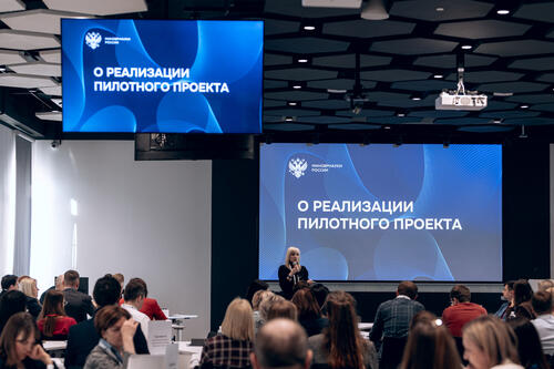 Опыт реализации пилотного проекта обсудили на аналитической сессии Минобрнауки России